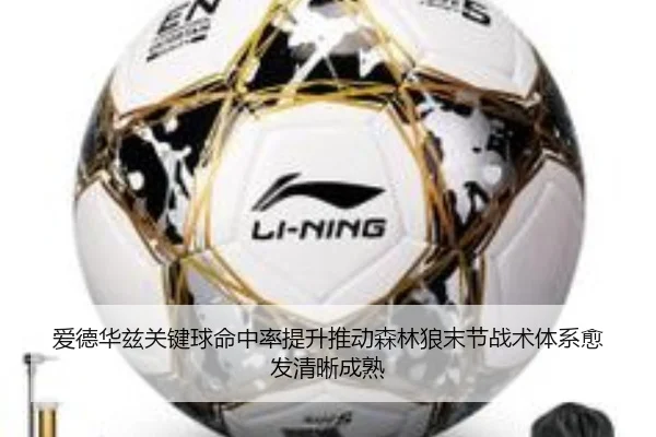 爱德华兹关键球命中率提升推动森林狼末节战术体系愈发清晰成熟